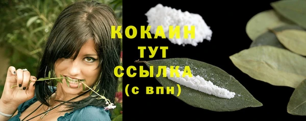 крисы Вязники