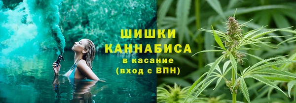 спиды Осинники